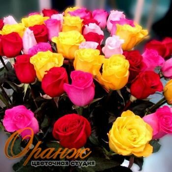 Букет из 25 разноцветных роз с крупным бутоном
